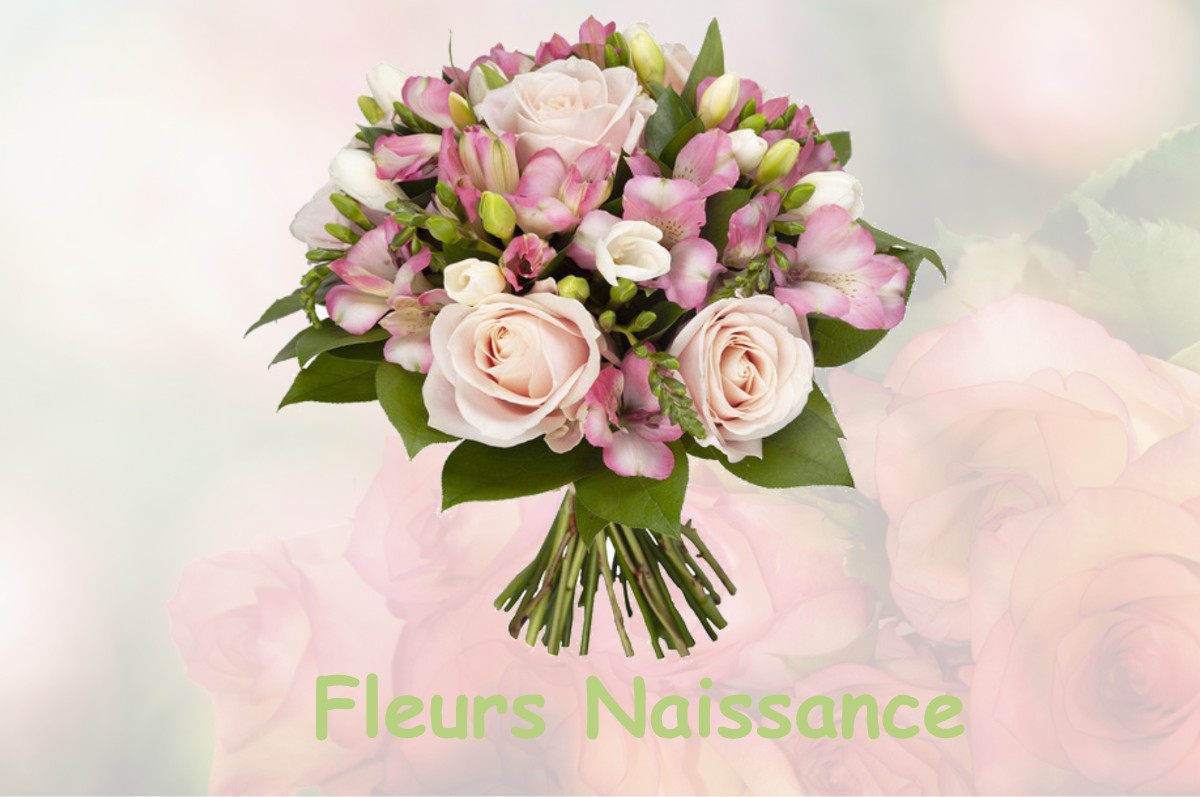 fleurs naissance GOUPILLIERES