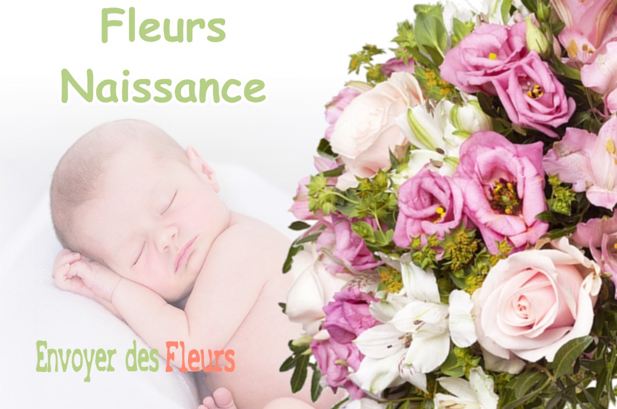 lIVRAISON FLEURS NAISSANCE à GOUPILLIERES